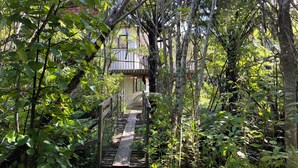 Una escalera de madera que conduce a una casa rodeada de abundante vegetación.