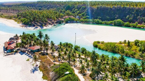Vista aérea de un complejo turístico en la playa, con una orilla arenosa, palmeras y un pequeño edificio con techo de paja.
