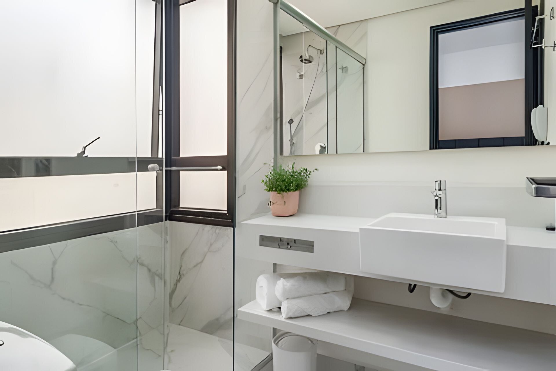 Une salle de bain moderne avec une douche à parois de verre, un lavabo blanc, un miroir et une plante en pot.