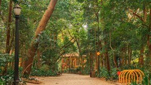 A forested area with a dirt path leading to a building with a tiled roof.