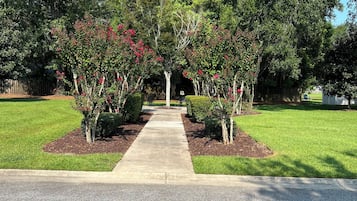 Àrea exterior de l'allotjament