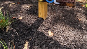 A wooden signpost with 'CABINS' and 'LODGES' directions.