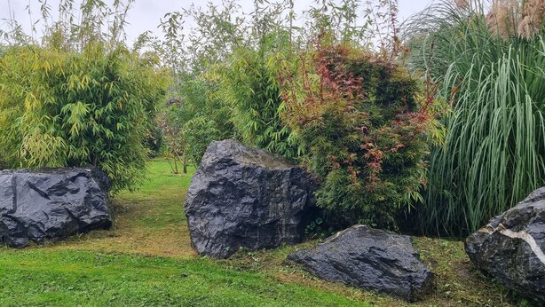 Un jardin agrémenté de gros rochers et de différentes espèces de plantes.