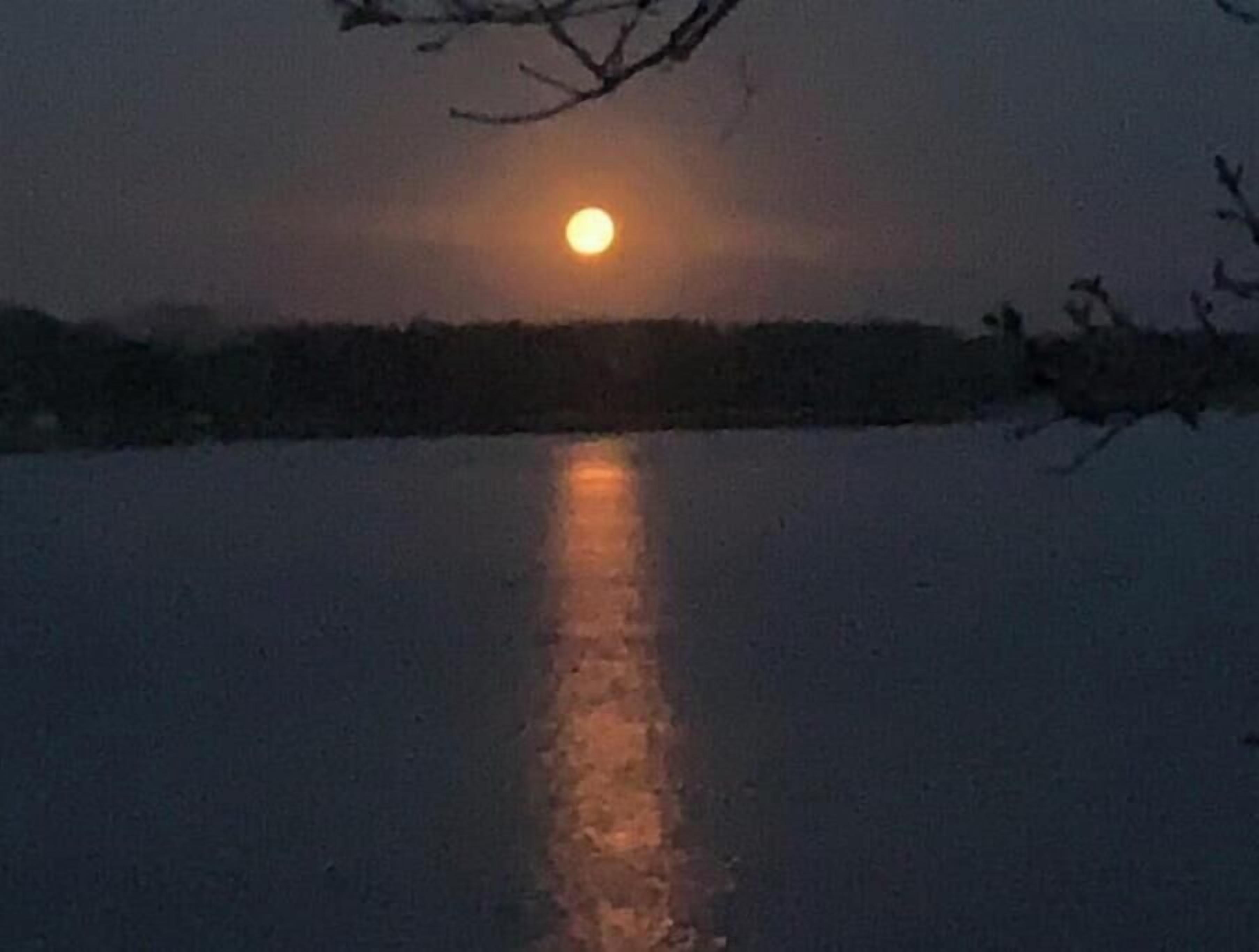Een rustig wateroppervlak spiegelt een volle maan.