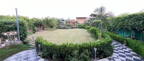 A courtyard with a checkered tile floor, surrounded by greenery and a few potted plants.