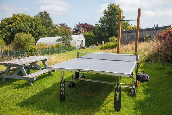 A portable ping pong table in a grassy outdoor area with a picnic table nearby. - Luxury Shepherds Hut with Bath (Truro)