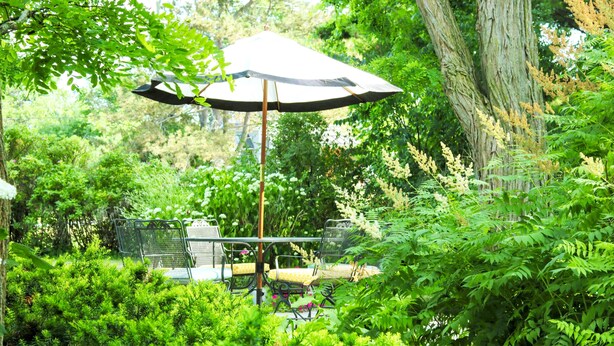 A garden patio with a table and chairs, surrounded by lush greenery and a large tree. - Luxury Limestone Suite is a Home Away from Home (KIngston)