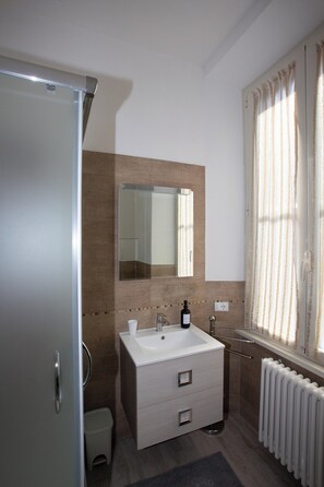 Shower, hair dryer, bidet, towels