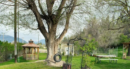 Dew Duck Inn