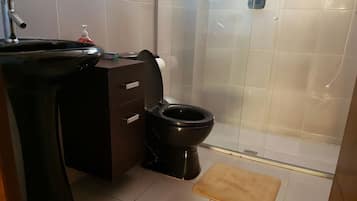 Regadera, toallas, shampoo, papel de baño