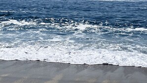 Une plage où les vagues déferlent sur le rivage.