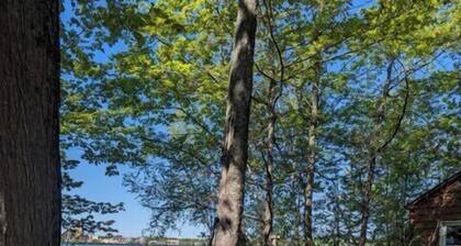 Charming 1940s Cabin on Mohawksin, Firepit, Kayaks/Canoes Incl. Close to Trails