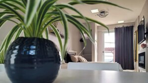 Un salon moderne avec un canapé, une table basse et une plante en pot.