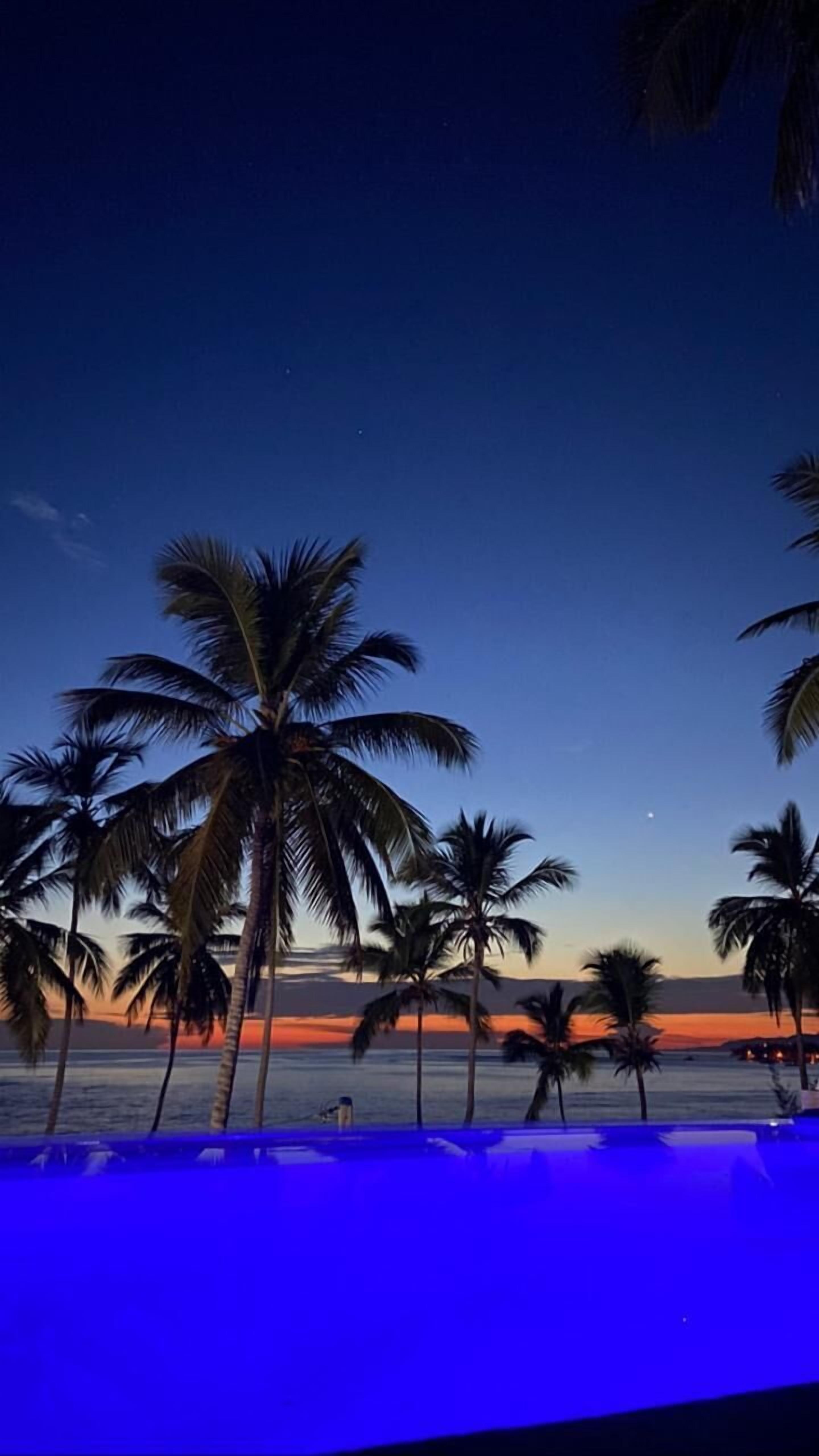 A beach scene with palm trees and a pool area.