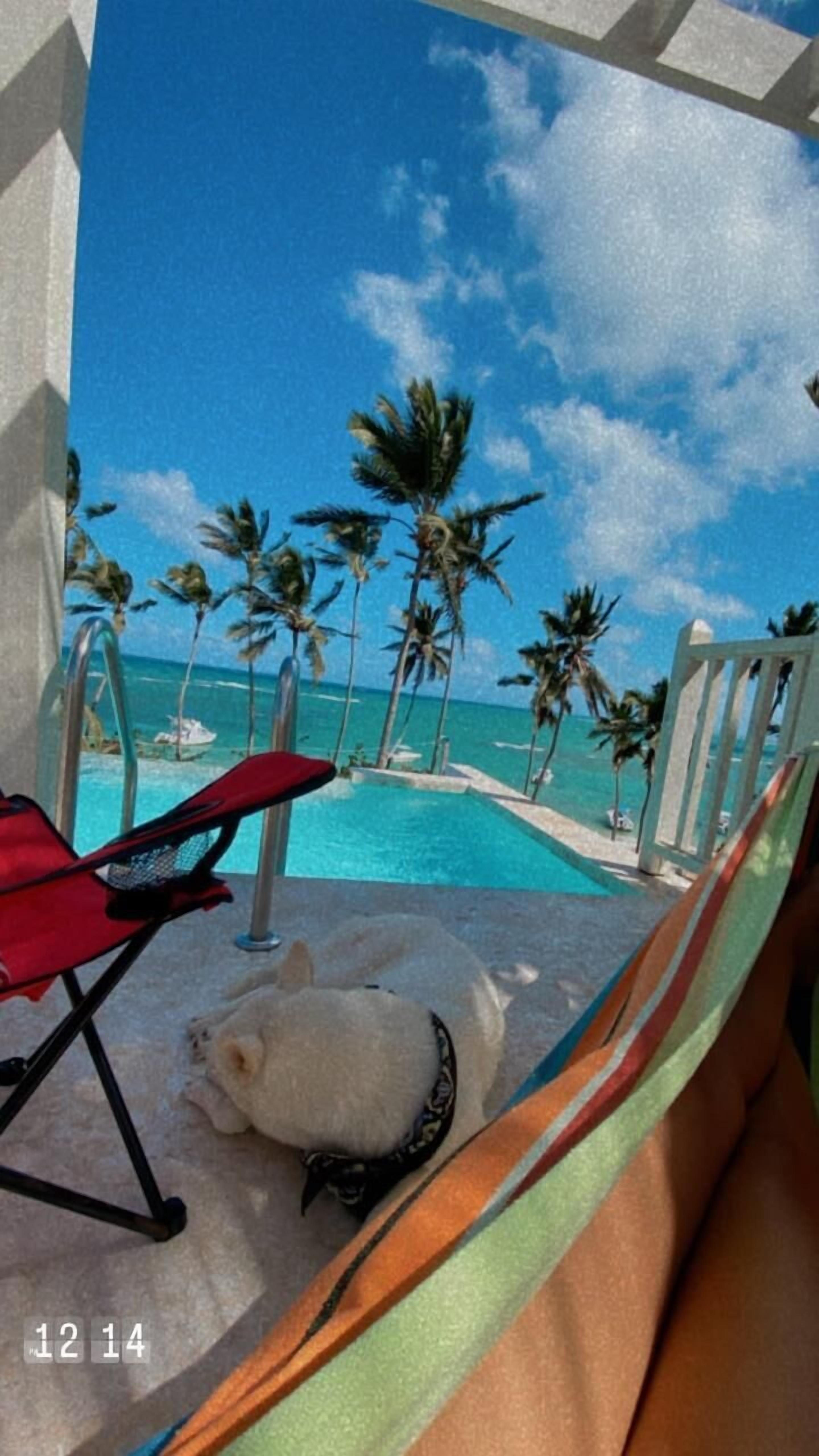 A hammock with a view of a pool and palm trees.