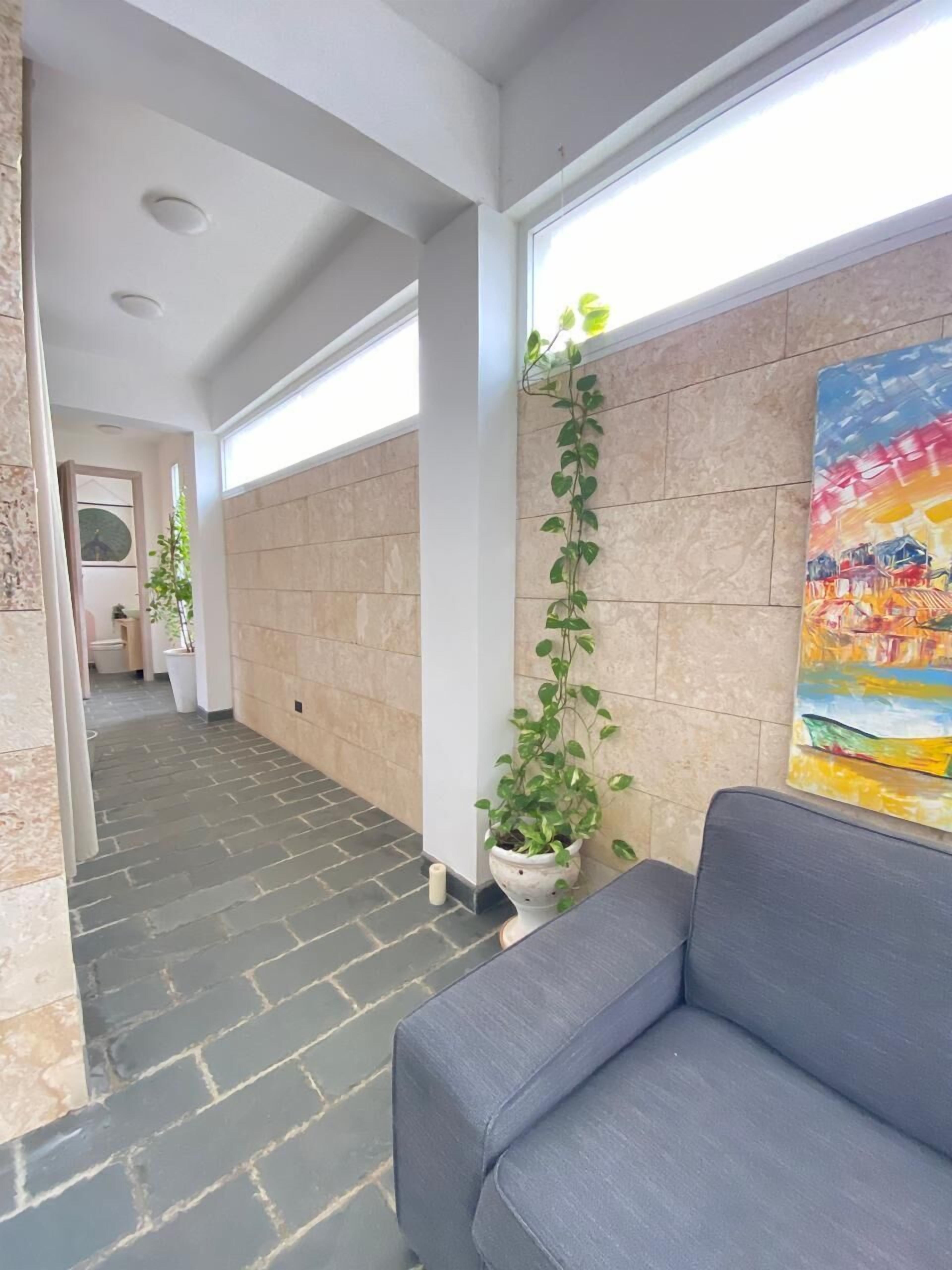Un pasillo con un sofá gris, una planta en maceta y un cuadro colorido en la pared.