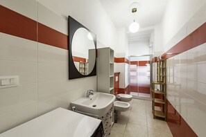 Shower, hair dryer, bidet, towels