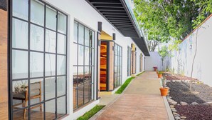 A modern building with large windows, a paved walkway, and potted plants along the side. - Hotel Casa María  (Oaxaca)