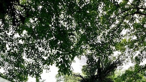 住宿正面