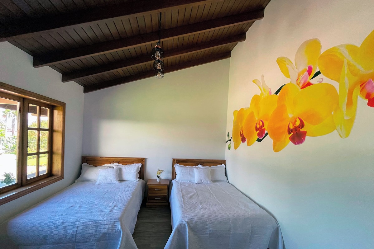 Doppia Standard, 1 camera da letto, accesso alla piscina, vista giardino | Biancheria da letto ipoallergenica, copriletto in piuma
