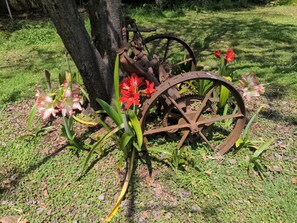 Àrea exterior de l'allotjament