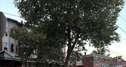 Temple Hosp 2ndFl Rear Catio