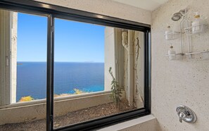 A bathroom with a large window, a shower area, and a small plant on the windowsill.