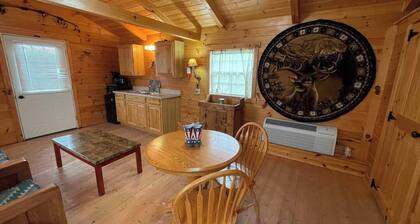Cozy Cabin near Seneca Lake