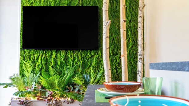 Un interior moderno con una pared cubierta de musgo verde, abedules y un televisor de pantalla plana.
