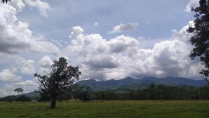 View from property - ALOJAMIENTO RURAL MI FUNDO (Acacías)