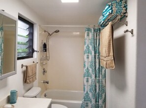 Secadora de cabello, bidet, toallas, jabón 