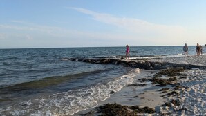 Ein Strand mit felsigem Ufer, Wellen und Menschen, die spazieren gehen.