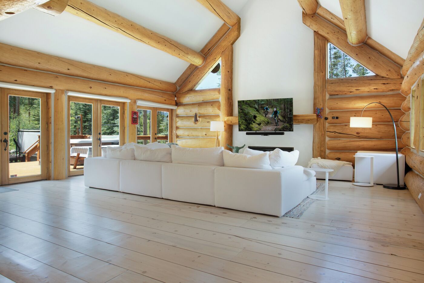 TV, fireplace, ping pong