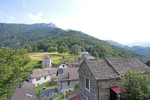 Miscelánea
