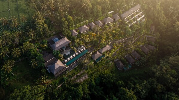 View from property - Ayatara Resort Ubud  (Kerta)