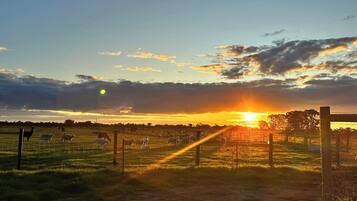A sunset over a rural landscape with a dirt path and a fence.