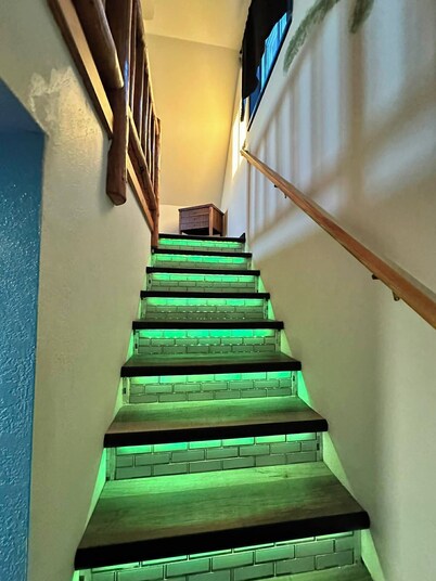 The Northern Lights Oasis