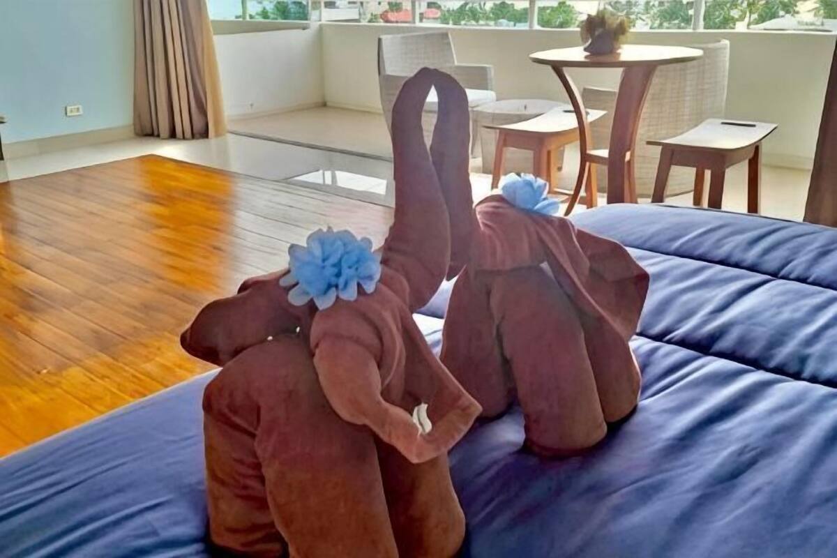 Ein Zimmer mit blauem Sofa, Holzboden und Blick ins Freie.