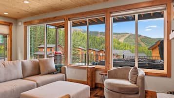 Smart TV, chimenea, libros y estéreo