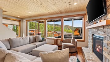 Smart TV, fireplace, books, stereo