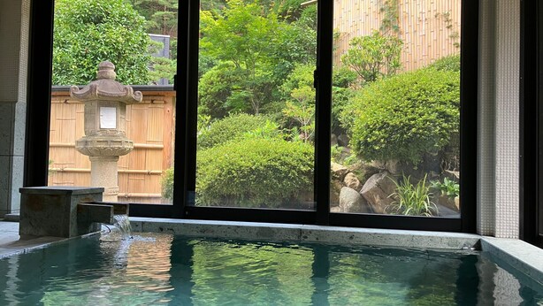 On aperçoit clairement une piscine, avec une structure en pierre au premier plan, une clôture en bois et une végétation luxuriante en arrière-plan.