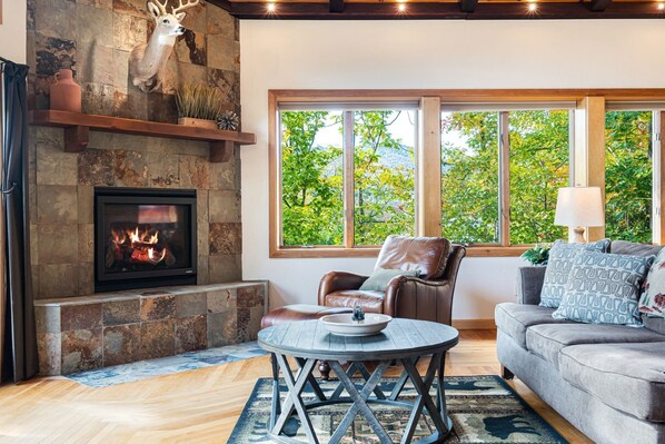 TV, fireplace, offices