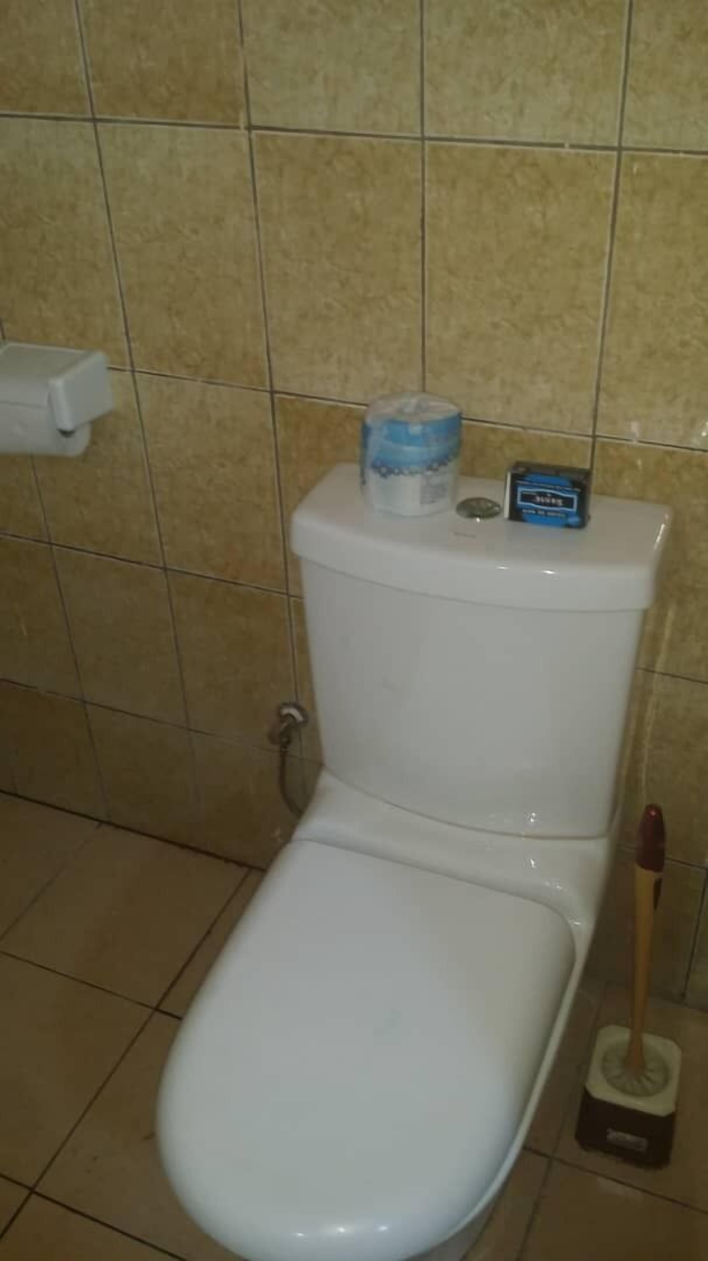 Des toilettes blanches, équipées d’un siège-bidet et d’une ventouse posée sur le sol.