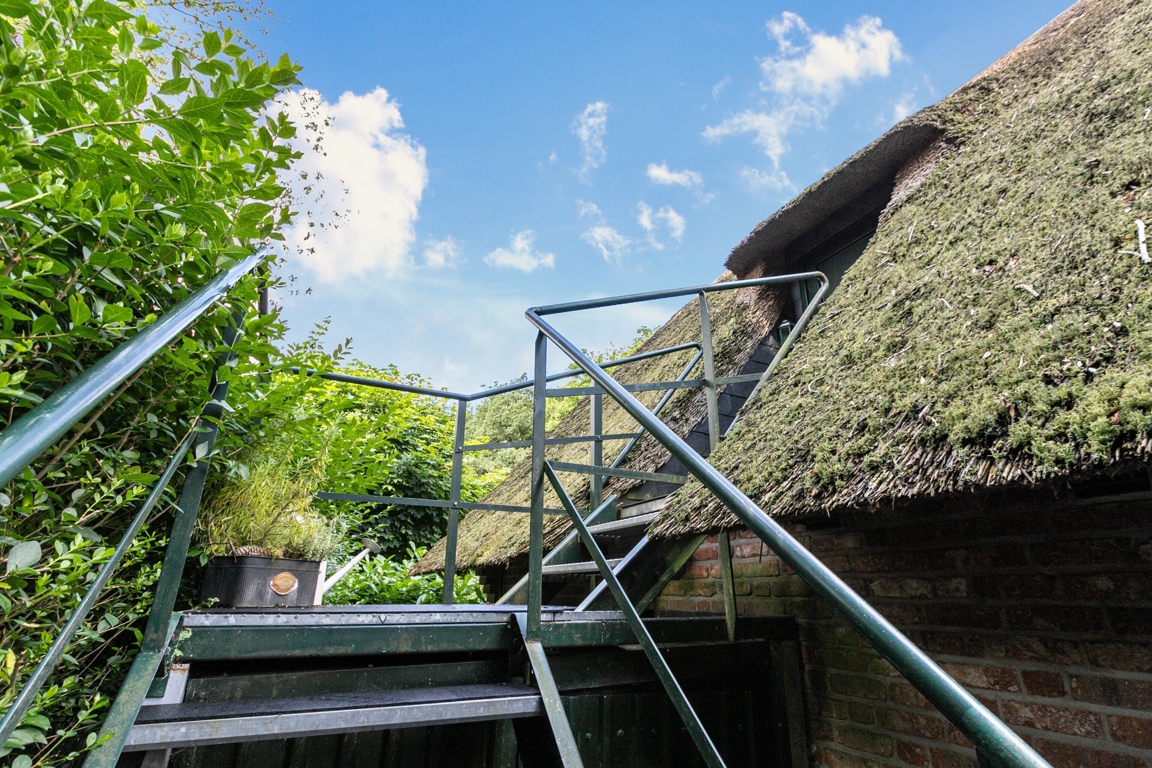 A staircase leading to a building with a thatched roof, surrounded by greenery.
