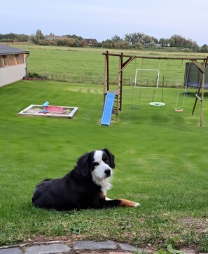 A dog lying on grass in a yard with a swing set and a slide.