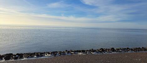 بالقرب من الشاطئ