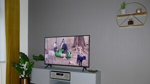 Un téléviseur posé sur un meuble de rangement gris, une plante en pot et une étagère à cadre doré ornée d’objets décoratifs.