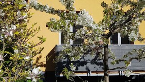 Un bâtiment à la façade jaune, un arbre aux fleurs blanches au premier plan et une fenêtre donnant sur le ciel.