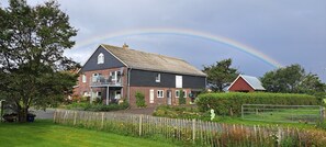 Eksteriør