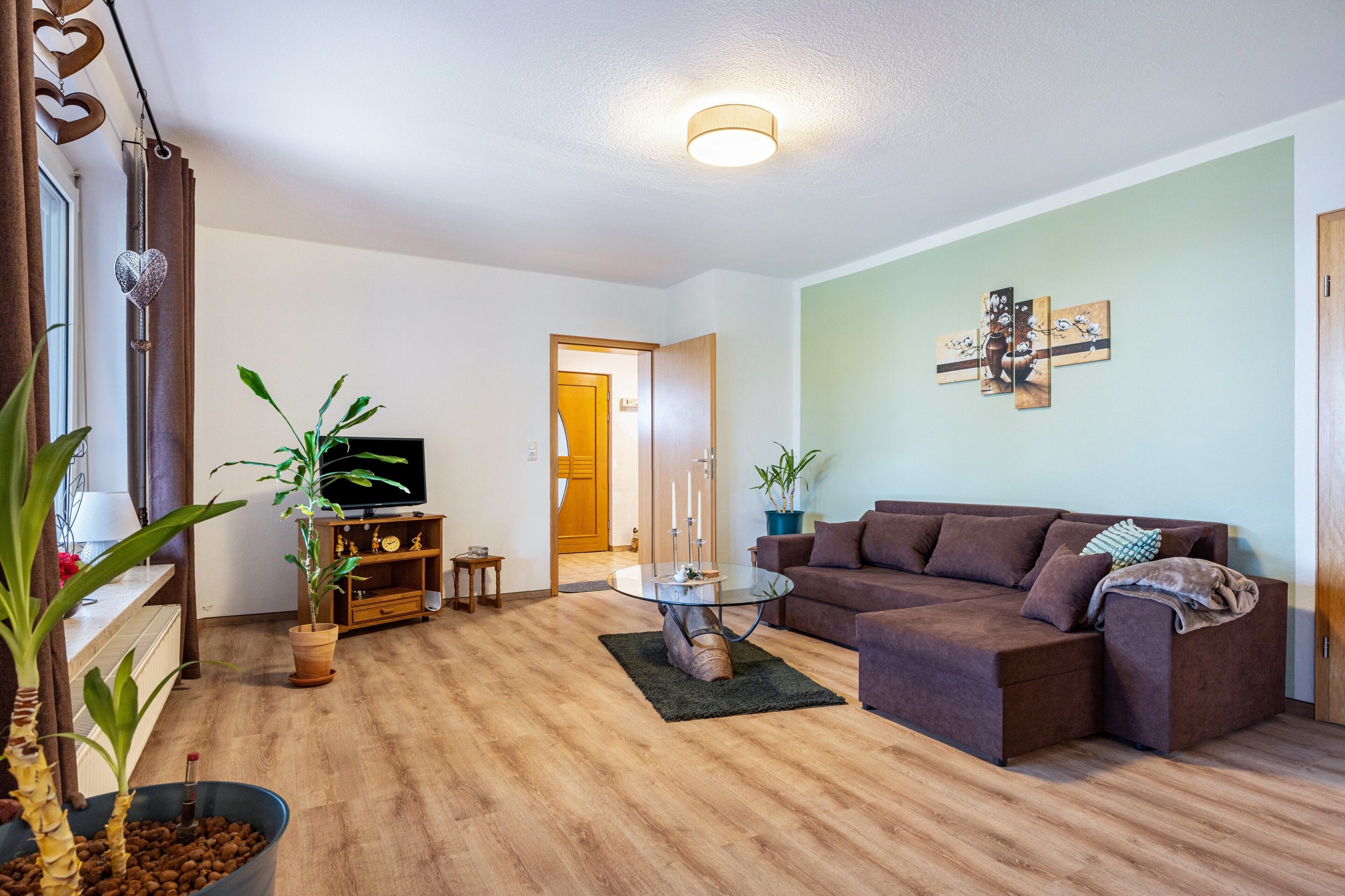 Una sala de estar con un sofá marrón, una mesa de centro de vidrio, un televisor y plantas en macetas.